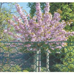 Apollo 25mm Galvanised Wire Netting 0.6m x 50m