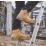 Site Assert Size 12  Tan Waterproof  Safety Boots