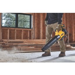 DEWALT  DCMBL562N-XJ 18V Li-Ion XR Brushless Cordless Axial Blower - Bare