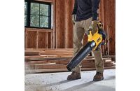 Image of a Leaf Blower