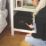 Yale YSFM/250/EG1  PIN Code & Fingerprint Laptop Safe 18.6Ltr