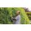 Bosch  UniversalHedgeCut  18V-50  50cm 18V Li-Ion Power for All Brushless Cordless Hedge Trimmer - Bare