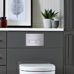 Quad Dual-Flush Flushing Plate Stainless Steel