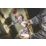 Skil CD1U3085HB 20V 2 x 4.0Ah Li-Ion PWRCORE 20 Brushless Cordless Hammer Drill