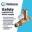 Reliance Valves 1/2" Thermostatic Balancing Valve