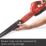 Einhell Akku-Gartenset PXC 18V 1 x 2Ah Li-Ion Power X-Change  Cordless Leaf Blower & Hedge Trimmer Kit