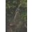 DEWALT DCMPS567N 18V Li-Ion XR Brushless Cordless 20cm Pole Saw - Bare