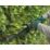 Bosch EasyHedgeCut 18V-52-13 52cm 18V Li-Ion Power for All  Cordless Hedge Trimmer - Bare