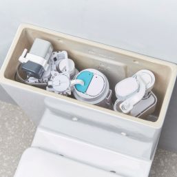 Bottom or Side-Entry Flush Valve