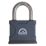 Squire ATL52S Brass  Weatherproof   Padlock 50mm