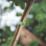 Velcro Brand One-Wrap Green Garden Ties 20m x 12mm