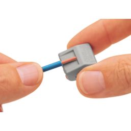 Wago 222-412 32A 2-Way Lever Connectors 50 Pack