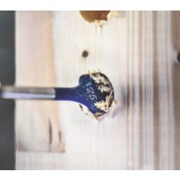 Bosch Expert Self Cut Speed Hex Shank  Flat Wood Spade Drill Bit 25mm x 152mm