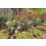 Gardena  Smart Sensor Garden Control Set
