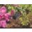Gardena  Smart Sensor Garden Control Set