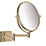 Hansgrohe AddStoris Shaving Mirror Brushed Bronze 208mm x 344mm x 283mm