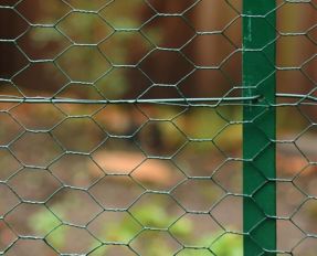Wire Fencing