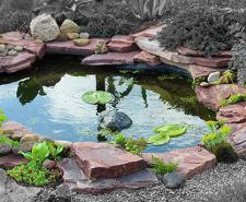 Image for Garden Ponds category tile