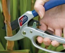 Image for Secateurs category tile