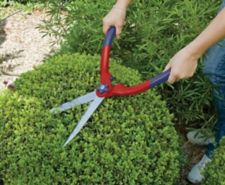 Image for Hedge Shears category tile