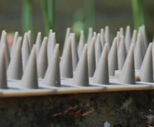 Image for Pest Control category tile