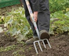 Image for Garden Forks category tile