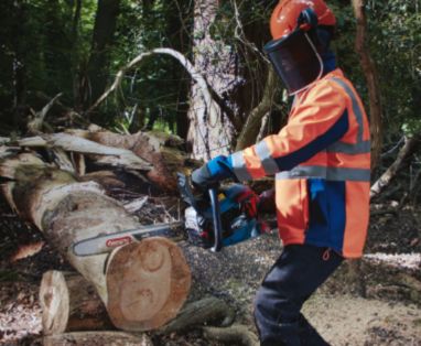 View all Erbauer Chainsaws