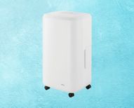 Shop Dehumidifiers