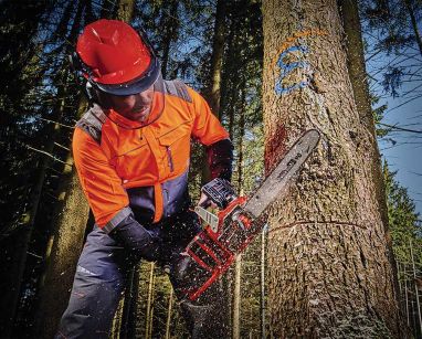 View All Einhell Chainsaws