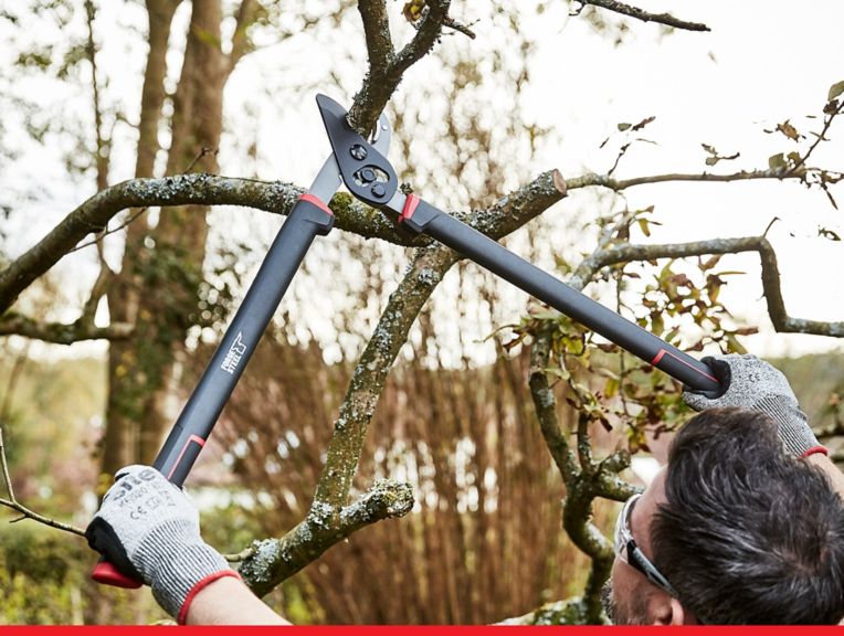 Forge Steel Tree Loppers