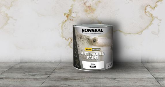 Ronseal Damp Proof Paint