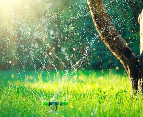 Garden Watering Systems Guide