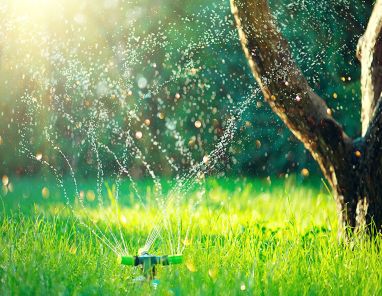 Garden Watering Systems Guide