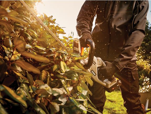 Titan Hedge Trimmers