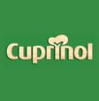 Cuprinol Fence Paint