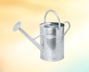 Shop Watering Cans