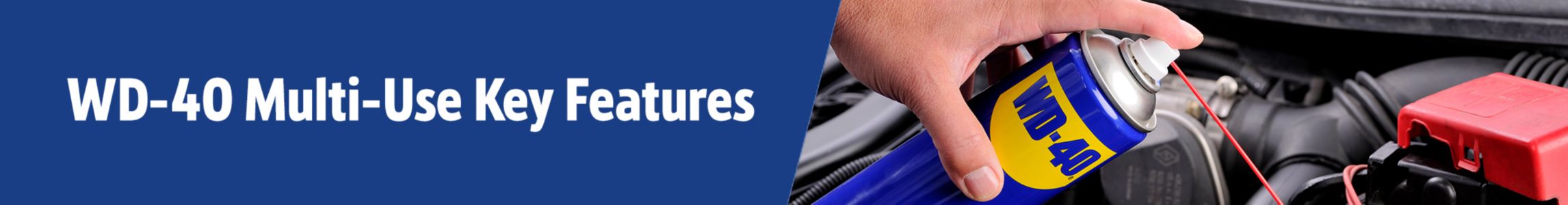 Image of WD-40 being used on an engine